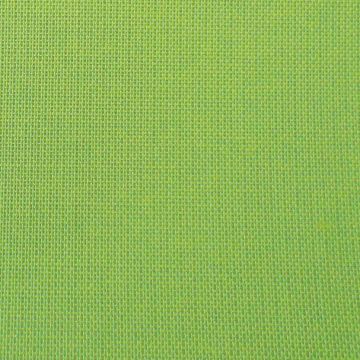 1009 Werre-Leinen, Breite: 135 cm - 032 lindgrün